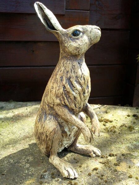 Hare by Lynn Hazel