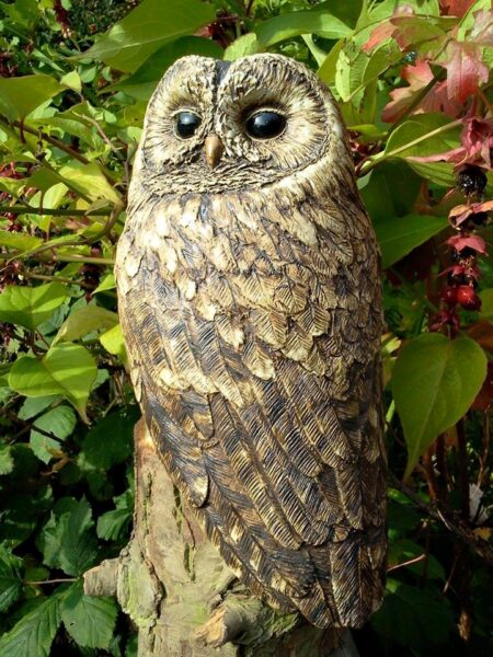 Owl1- Lynn Hazel