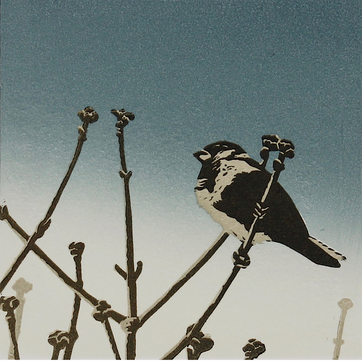 Rachel Salisbury printmaker